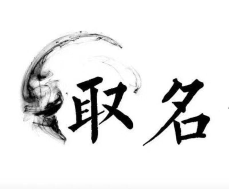  成华宝宝取名 大师一对一人工起名