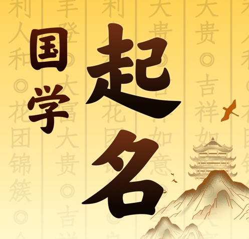 成华国学起名 人工起名一对一